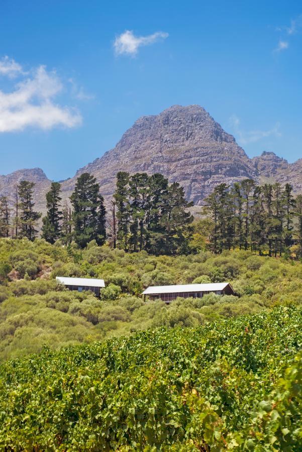 Bush Lodge At Hidden Valley Wines Stellenbosch Exterior photo
