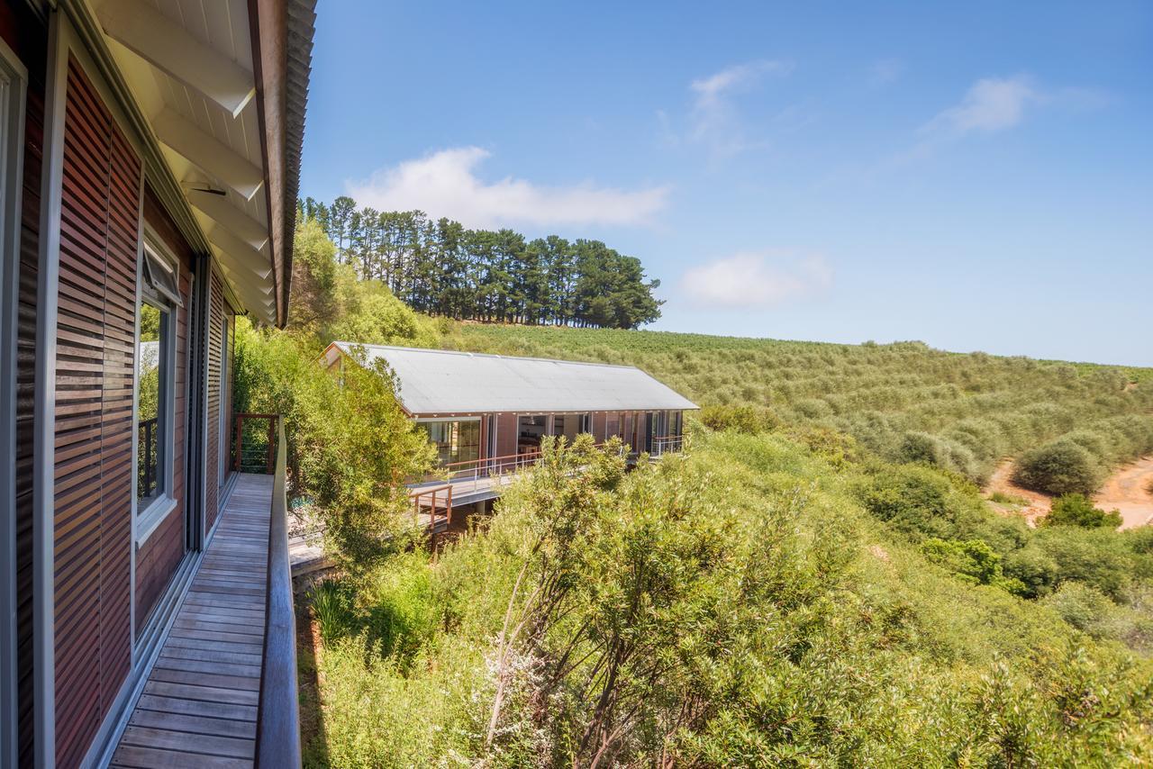 Bush Lodge At Hidden Valley Wines Stellenbosch Exterior photo